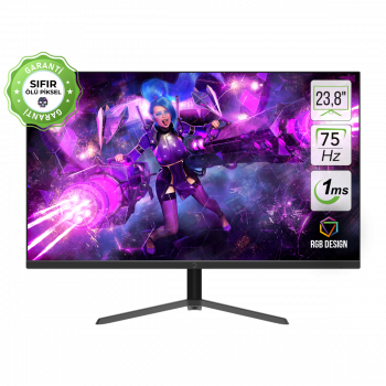 24 GAMEPOWER ACE A10 FLAT 1MS 75Hz MONITOR